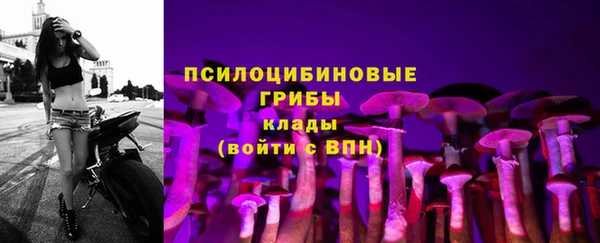 стаф Волосово