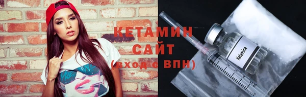 сатива Тобольск