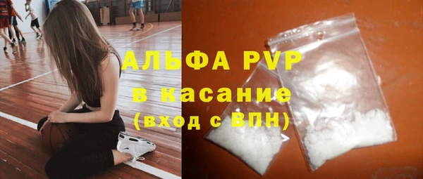 стаф Волосово