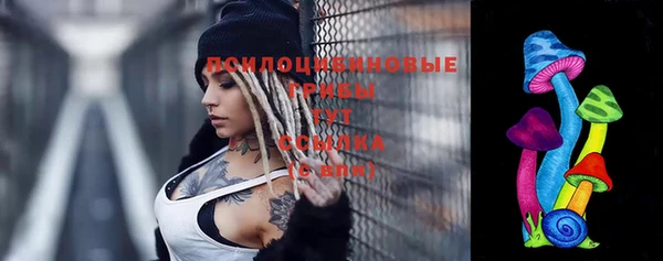 стаф Волосово