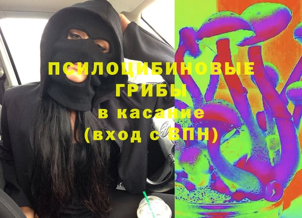 стаф Волосово