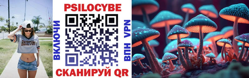 хочу   Луховицы  Галлюциногенные грибы мухоморы 